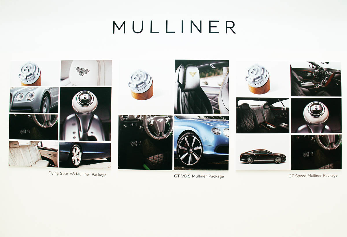 bmuli009.jpg