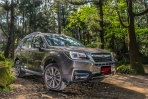 晚買享折扣之入主百萬內森林人最後良機！Subaru Forester 2.0i-P試駕報導